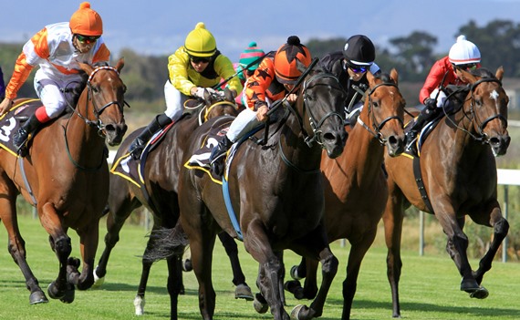 Cuvee Brut wins the Prix Du Cap