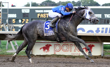 Frosted wins Gr2 Penn Derby