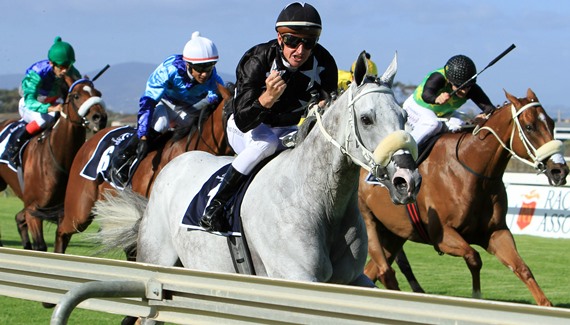 Kiing Of Pain wins Chjairman Cup