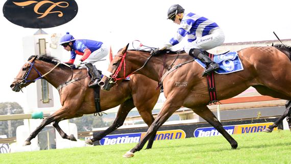 Off The Mark wins the Gr3 Acacia