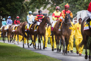 Kenilworth chute (photo: hamishNIVENPhotography)