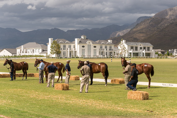 2016 Val de Vie Yearling Sale