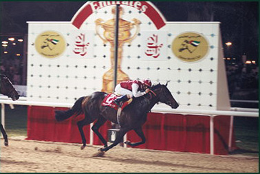 1997 Dubai World Cup - Singspiel (photo: Dubai Racing Club)