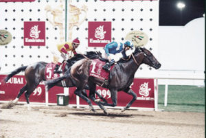 1999 Dubai World Cup - Almutawakel (photo: Dubai Racing Club)