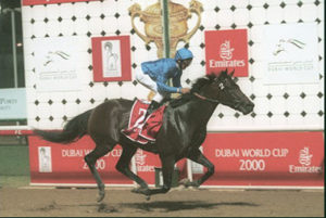 2000 Dubai World Cup - Dubai Millennium (photo: Dubai Racing Club)