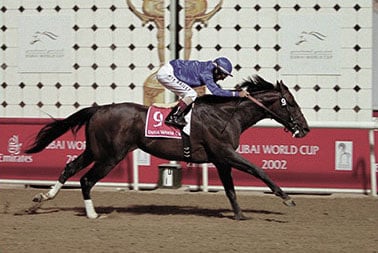 2002 Dubai World Cup - Street Cry (photo: Dubai Racing Club)