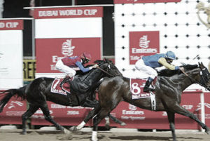 2004 Dubai World Cup - Pleasantly Perfect (photo: Dubai Racing Club)