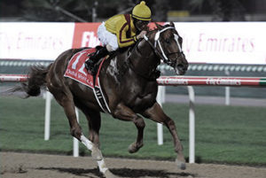 2008 Dubai World Cup - Curlin (photo: Dubai Racing Club)