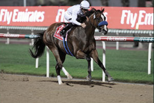 2009 Dubai World Cup - Well Armed (photo: Dubai Racing Club)