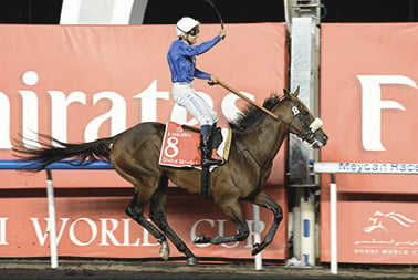 2012 Dubai World Cup - Monterosso (photo: Dubai Racing Club)