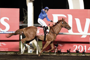 2014 Dubai World Cup - African Story (photo: Dubai Racing Club)