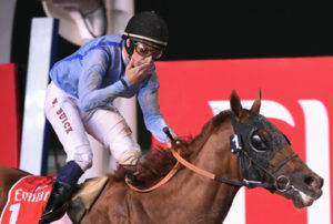 2015 Dubai World Cup - Prince Bishop (photo: Dubai Racing Club)