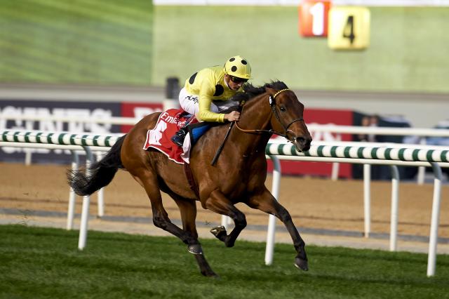 Gr2 Dubai City of Gold - POSTPONED (photo: Andrew Watkins)