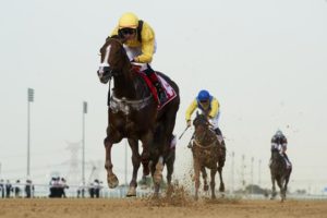 Market Rally wins the 2016 Al Bastikaya (photo: Andrew Watkins)