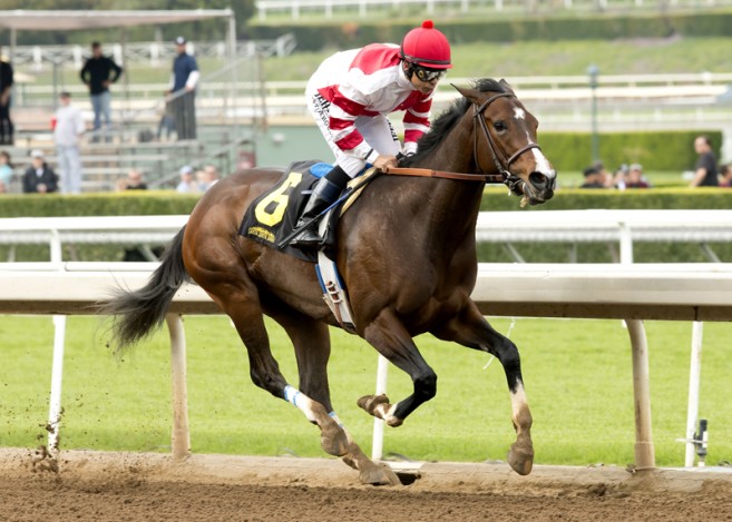 Songbird wins the 2016 Gr3 Santa Ysabel Stakes