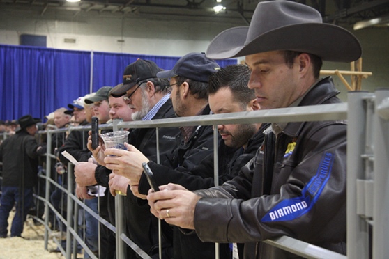 A line of bidders during the horse pull team auction and the Winners Circle Auctioneers Competition during Canadian Western Agribition Nov. 24, 2014.