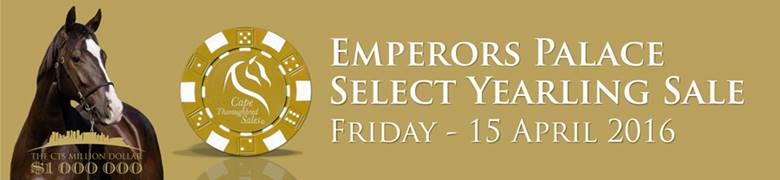 CTS Emperors Palace Select Yearling Sale strip