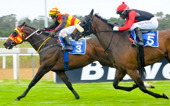 Copper Parade wins L East Cape Sprint Cup