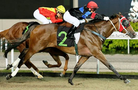 Dragon Fury looks the only winner on paper