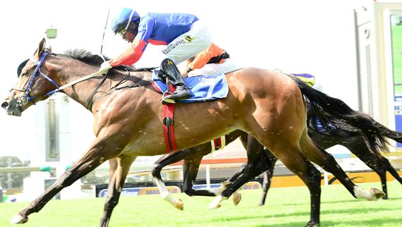 Flying Myth wins Storm Bird Stakes