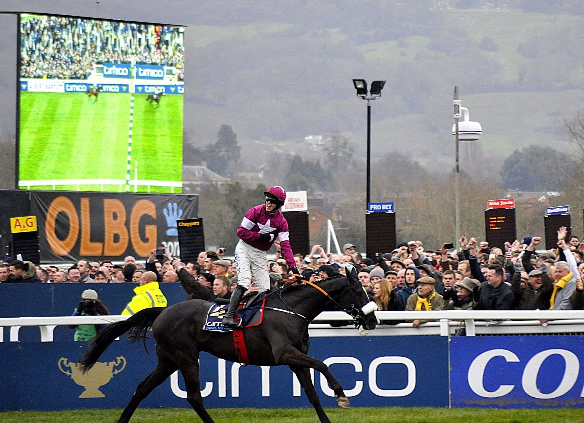 Don Cossack storms to victory in the 2016 Cheltenham Gold Cup (photo: Dave Boylan)