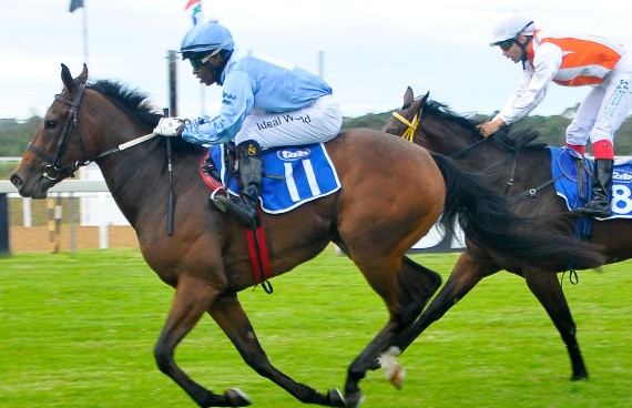 The Merry Window wins L East Cape Nursery