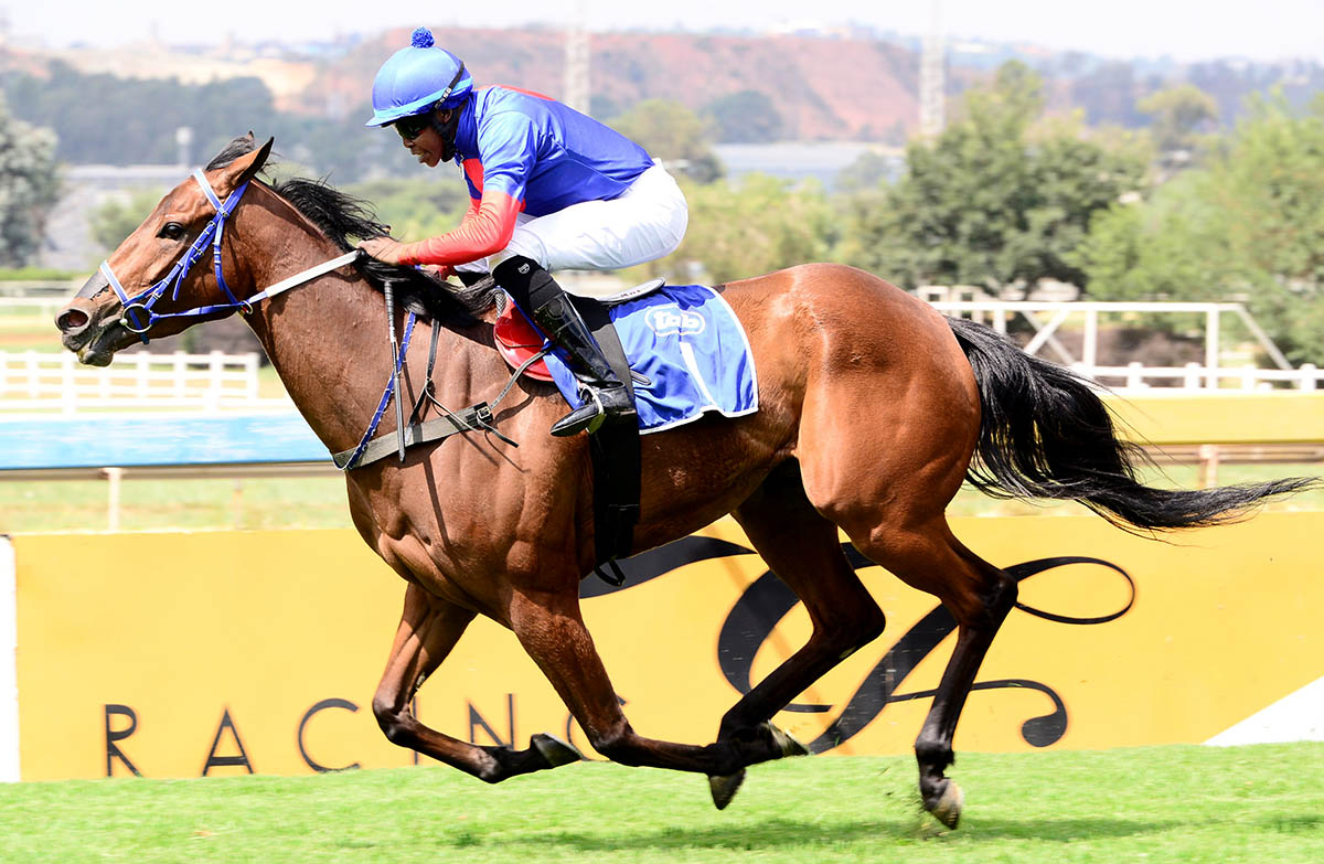 durban july runners and betting calculator