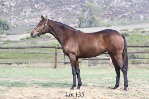 Lot 135 Excalibur's Return (Golden Sword - Home Safe)