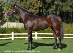 Lot 385 Unnamed (High Chaparral - Took)