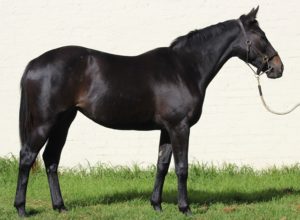 Lot 67 - Unnamed (Kahal - Dreams And Fancies)