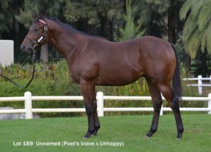Lot 189 Unnamed (Poet's Voice - Unhappy)