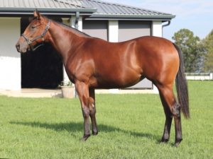 Lot 61 Unnamed (Choisir - Gemstone)