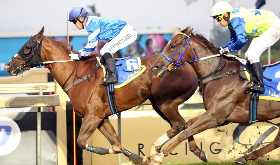 Clear Sailing wins L KZN Stakes