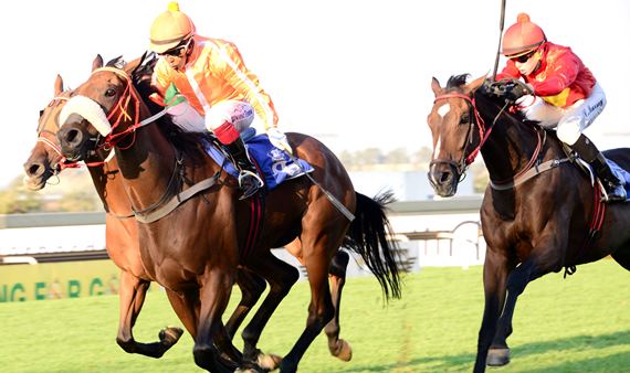 Fortune Fella wins the Caradoc Gold Cup