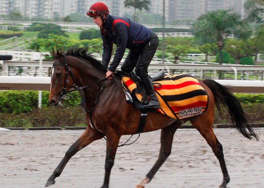 Highland Reel in HK