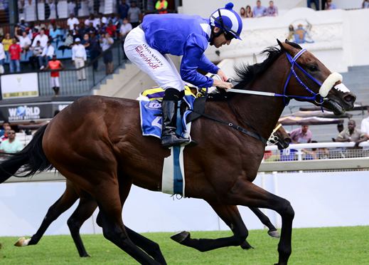 Janoobi (Antton Marcus) finds a good finish to win the Protea Stakes (Pic - JC Photos)