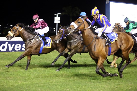 Mambo Mime wins Byerley Turk