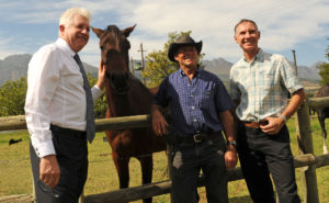 Cape Town-160412 - MEC Alan Winde visited Schoongezicht Farm in Paarl and spoke to the owner Wikus Hanekom where a horse has died ferom African Horse Sickness-Reporter-Iman-Photographer-Tracey Adams