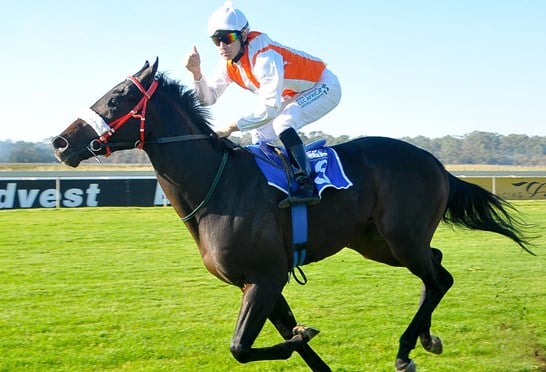 Oomph wins L East Cape Nursery