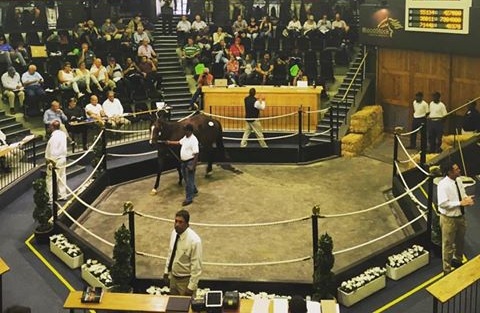 National Yearling Sale