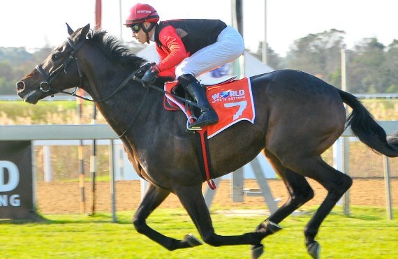 Captain Splendid wins E Cape Derby