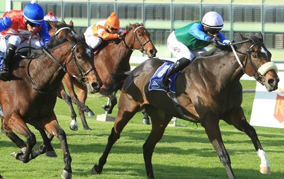 Chevauchee wins Olympic Duel