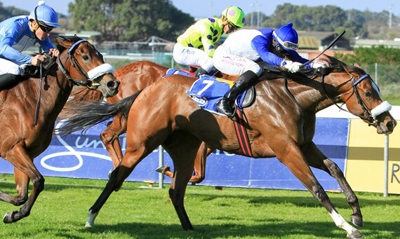 Nordic Breeze wins Ken Fillies Nursery