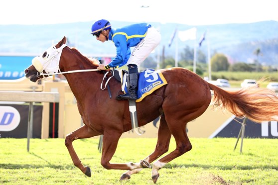 Red Chesnut Road wins Godolphin Barb