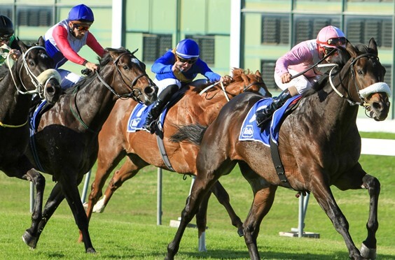 Gr3 Cape of Good Hope Nursery winner Sergeant Hardy is in third position