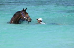 Smart Call enjoying the facilities in Mauritius (photo: Alec Laird Racing)