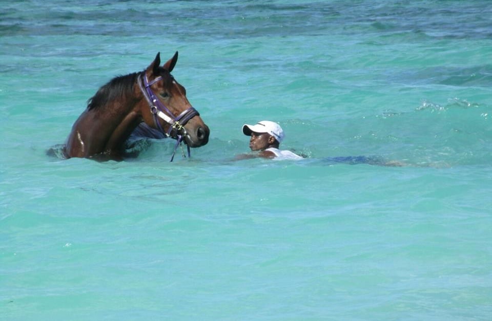 Smart Call enjoying the facilities in Mauritius (photo: Alec Laird Racing)