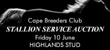 highlands_masthead_Stallion-Service-Auction2
