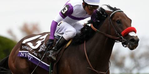 nyquist-winner-2015