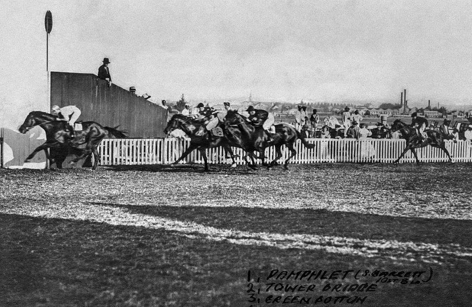 Pamphlet wins 1920 Berea Handicap (photo: Form Organisation)
